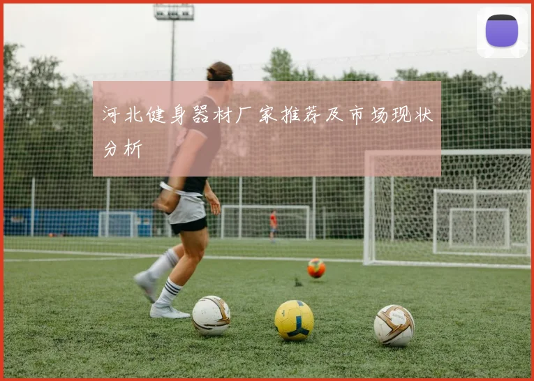 河北健身器材厂家推荐及市场现状分析