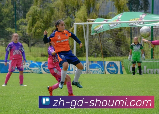 收米体育直播平台生态图